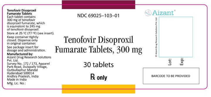 Tenofovir Disoproxil Fumarate Tablets, 300 mg Container Label