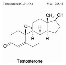 Chemical Structure of testosterone