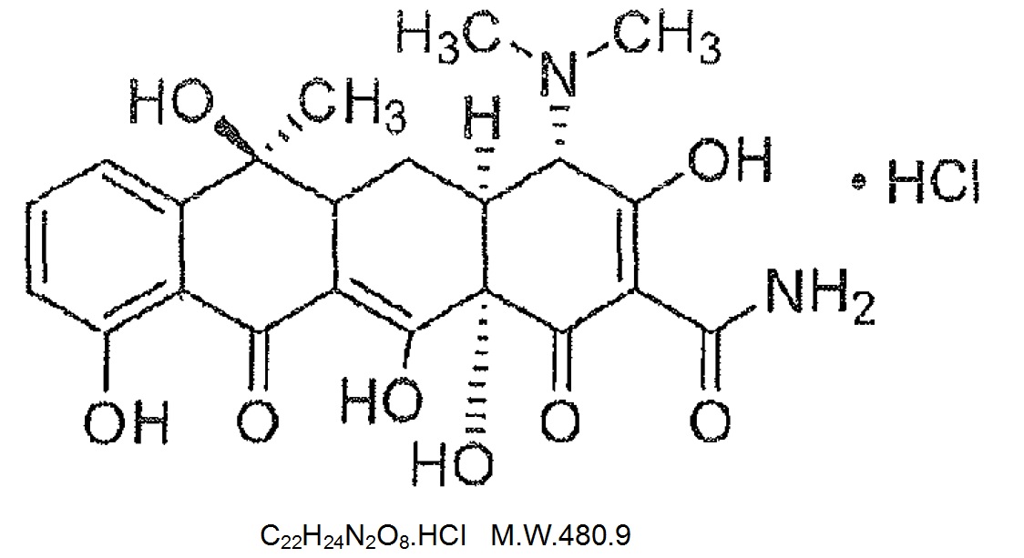 tetracycline-hydrochloride-tablets-1.jpg