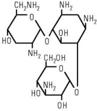 Structural Formula for Tobramycin
