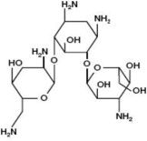 Figure 2: Tobramycin Structure
