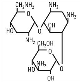 Structural Formula Tobramycin