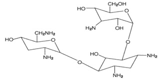 tobramycin-structure.jpg