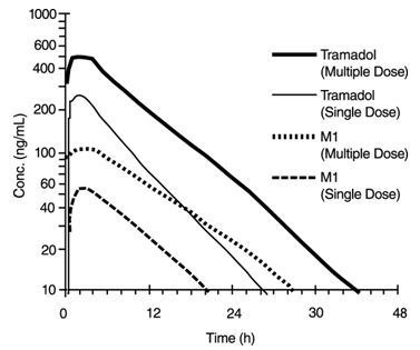 Figure 1: Mean Tramadol and M1 Plasma Concentration Profiles after a Single 100 mg Oral Dose and after Twenty-Nine 100 mg Oral Doses of Tramadol HCl given four times per day.