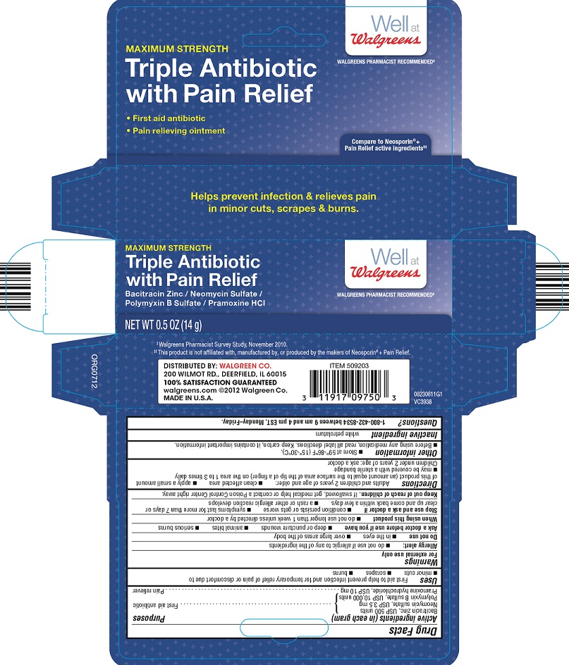 walgreens triple with pain relief label1