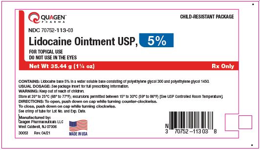 Lidocaine Ointment USP, 5% - 35.44g Tube
