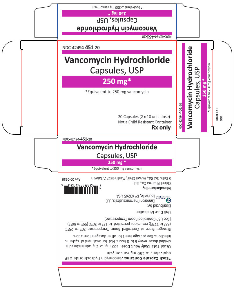 PRINCIPAL DISPLAY PANEL - 250 mg Capsule Bottle Carton