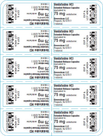 PRINCIPAL DISPLAY PANEL - 75 mg Capsule Blister Pack