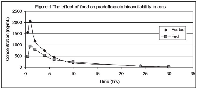 Figure 1: The effect of food on pradofloxacin bioavailability in cats