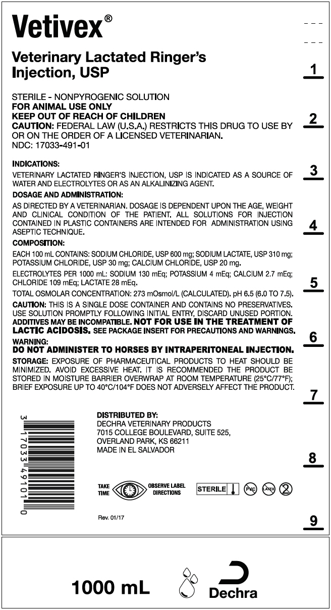 PRINCIPAL DISPLAY PANEL - 1000 mL Bag Label