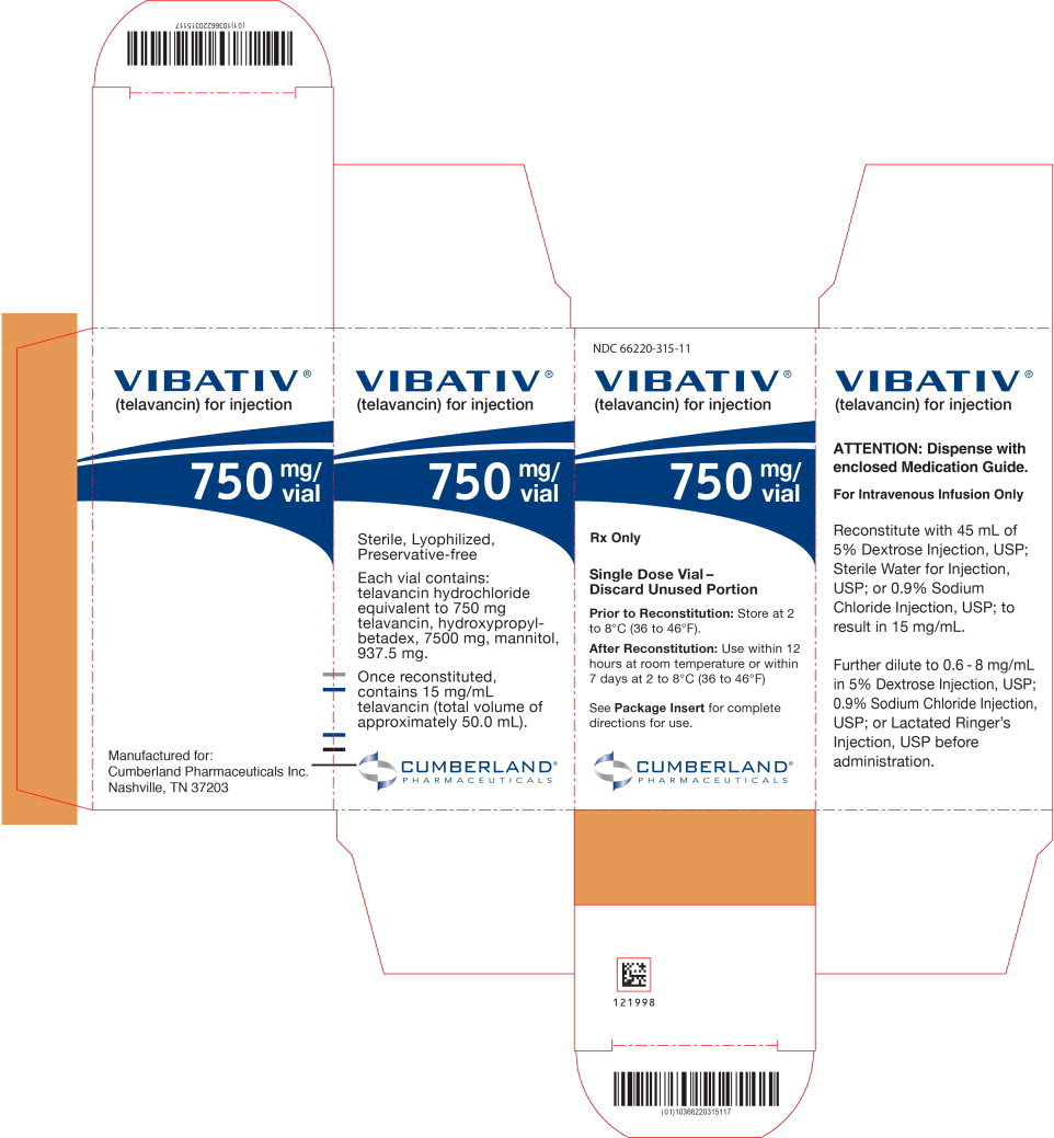 Principal Display Panel - 750 mg/vial Carton Label

