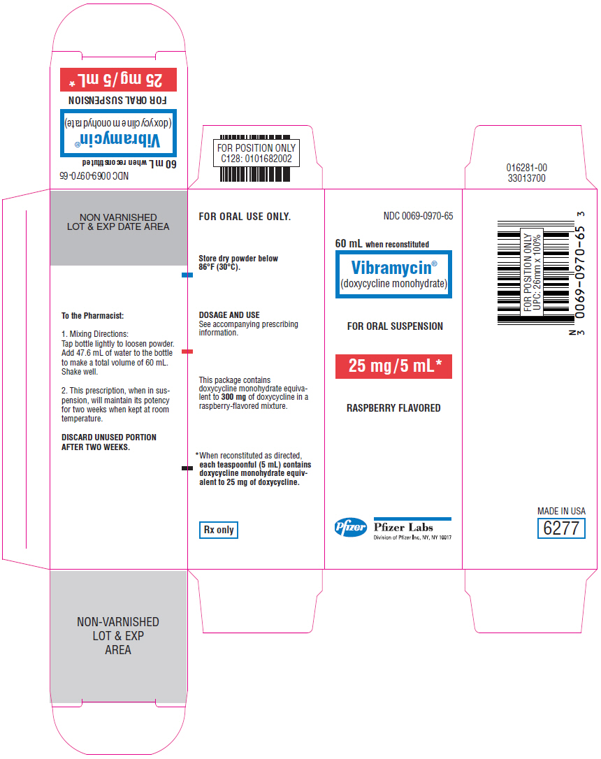 PRINCIPAL DISPLAY PANEL - 25 mg/5 mL Bottle Carton