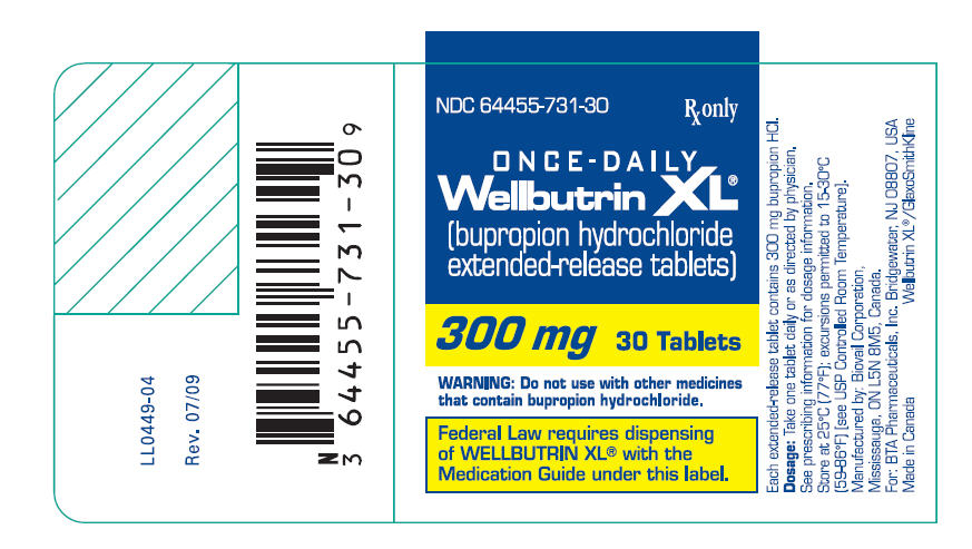 PRINCIPAL DISPLAY PANEL - 300 mg Tablets
