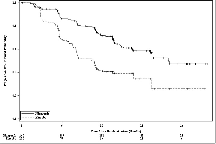 Figure 1: Progression Free Survival in Patients with HR deficient Tumors (ITT Population, N=373)