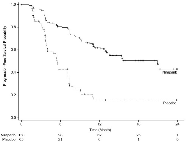 Figure 3. Progression-Free Survival in the gBRCAmut Cohort Based on IRC (Intent-to-Treat Population, n = 203)