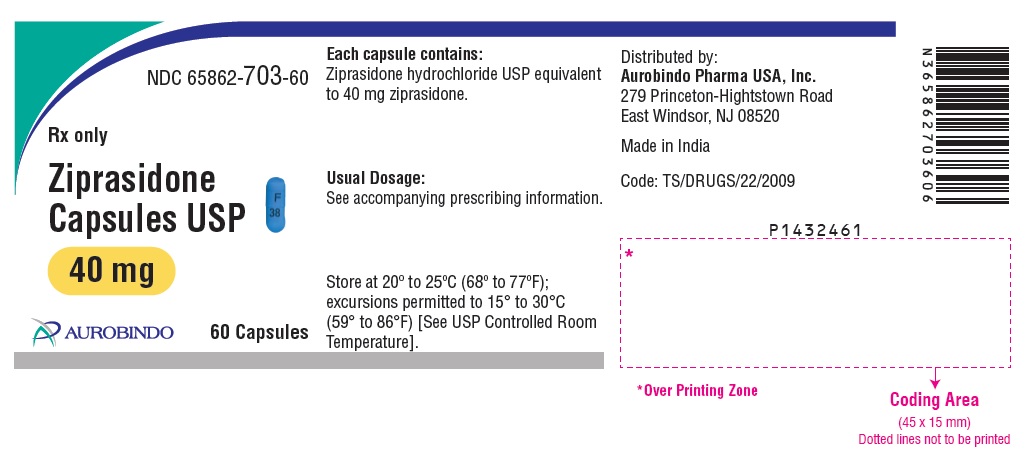 PACKAGE LABEL-PRINCIPAL DISPLAY PANEL - 40 mg (60 Capsules Bottle)