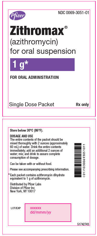 PRINCIPAL DISPLAY PANEL - 1 g Packet Label