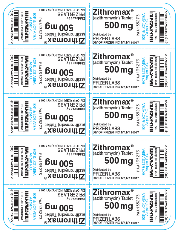 PRINCIPAL DISPLAY PANEL - 500 mg - 10 ct. Blister Card