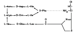 Bacitracin Zinc (structural formula)