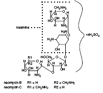 Neomycin Sulfate (structural formula)