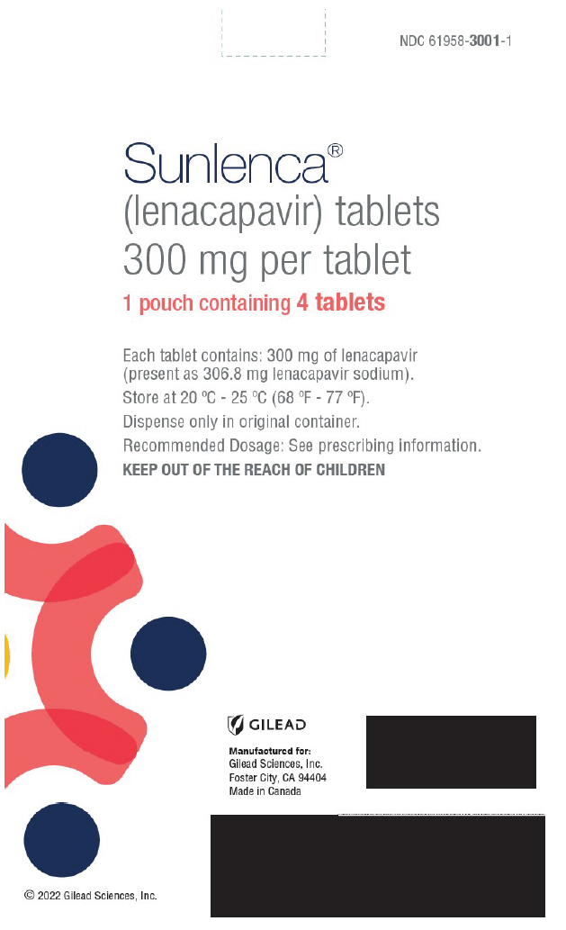 PRINCIPAL DISPLAY PANEL - 300 mg Tablet Blister Pack Pouch Carton